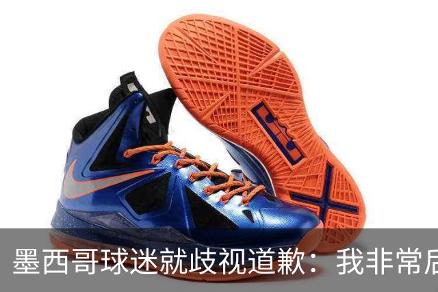 墨西哥球迷就歧视道歉：我非常后悔，已辞去工程师协会职务